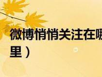 微博悄悄關注在哪里取消（微博悄悄關注在哪里）