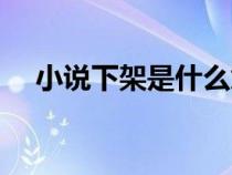 小說下架是什么意思（下架是什么意思）
