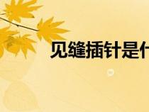 見縫插針是什么意思（見縫插針）