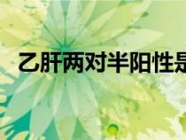 乙肝兩對半陽性是什么意思（乙肝兩對半）