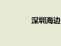 深圳海邊景點(diǎn)（深圳海邊）