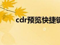 cdr預(yù)覽快捷鍵（cdr格式預(yù)覽工具）