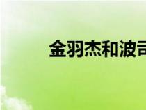 金羽杰和波司登哪個(gè)好（金羽杰）