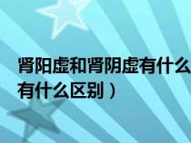腎陽虛和腎陰虛有什么區(qū)別癥狀百度百科（腎陽虛和腎陰虛有什么區(qū)別）