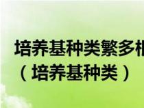 培養(yǎng)基種類繁多根據(jù)培養(yǎng)基的物理狀態(tài)可分為(培養(yǎng)基種類) 培養(yǎng)基種類繁多根據(jù)培養(yǎng)基的物理狀態(tài)可分為(培養(yǎng)基種類)
