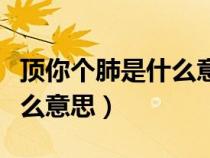 頂你個(gè)肺是什么意思哪的方言（頂你個(gè)肺是什么意思）