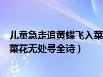兒童急走追黃蝶飛入菜花無處尋出自（兒童急走追黃蝶飛入菜花無處尋全詩）