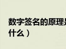 數(shù)字簽名的原理是什么?（數(shù)字簽名的原理是什么）