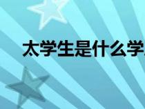 太學(xué)生是什么學(xué)歷（太學(xué)生指的是什么）