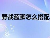 野戰(zhàn)藍鯽怎么搭配最好（野戰(zhàn)藍鯽怎么搭配）