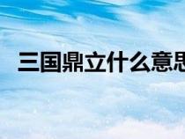 三國鼎立什么意思呢（三國鼎立什么意思）