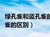 綠孔雀和藍孔雀的區(qū)別是什么（綠孔雀和藍孔雀的區(qū)別）