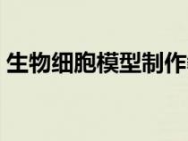 生物細(xì)胞模型制作教程（生物細(xì)胞模型制作）