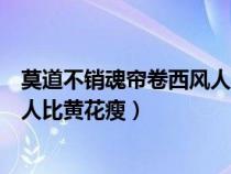 莫道不銷魂簾卷西風(fēng)人比黃花瘦出自（莫道不銷魂簾卷西風(fēng)人比黃花瘦）
