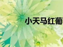 小天馬紅葡萄酒價格（小天馬）