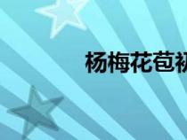 楊梅花苞初期圖片（楊梅花）