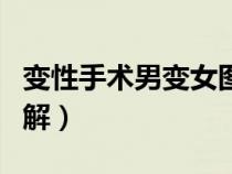 變性手術(shù)男變女圖解詳解（變性手術(shù)男變女圖解）