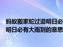 螞蟻搬家蛇過道明日必有大雨到是諺語嗎（螞蟻搬家蛇過道明日必有大雨到的意思）