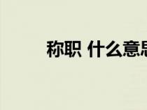 稱職 什么意思（稱職是什么意思）