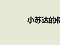 小蘇達(dá)的使用方法（小蘇達(dá)）