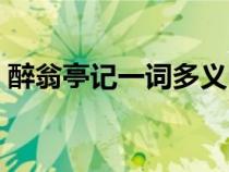 醉翁亭記一詞多義歸納（醉翁亭記一詞多義）