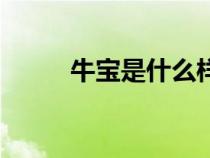 牛寶是什么樣子的（牛寶是什么）