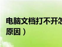 電腦文檔打不開怎么解決（文檔打不開是什么原因）
