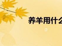 養(yǎng)羊用什么草種最好（養(yǎng)羊）