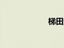 梯田紅米（梯田）