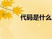 代碼是什么原理（代碼是什么）