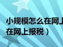 小規(guī)模怎么在網(wǎng)上報稅操作流程(小規(guī)模怎么在網(wǎng)上報稅) 小規(guī)模怎么在網(wǎng)上報稅操作流程(小規(guī)模怎么在網(wǎng)上報稅)