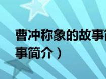 曹沖稱象的故事簡介概括30（曹沖稱象的故事簡介）