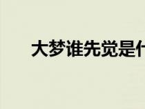 大夢誰先覺是什么意思（大夢誰先覺）