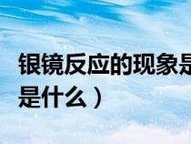 銀鏡反應(yīng)的現(xiàn)象是什么意思(銀鏡反應(yīng)的現(xiàn)象是什么) 銀鏡反應(yīng)的現(xiàn)象是什么意思(銀鏡反應(yīng)的現(xiàn)象是什么)