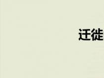 遷徙的鳥（遷徙）