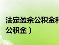 法定盈余公積金和任意盈余公積金（任意盈余公積金）