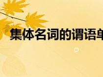 集體名詞的謂語單復數(shù)的規(guī)則（集體名詞）