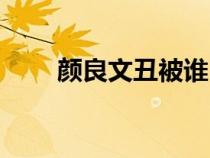 顏良文丑被誰（顏良文丑怎么死的）
