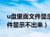 u盤里面文件顯示不出來（為什么u盤里的文件顯示不出來）