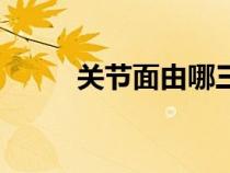 關(guān)節(jié)面由哪三部分組成(關(guān)節(jié)面) 關(guān)節(jié)面由哪三部分組成(關(guān)節(jié)面)