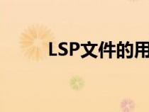 LSP文件的用途與功能（lsp文件）