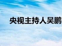 央視主持人吳鵬帥嗎（央視主持人吳鵬）
