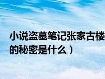 小說盜墓筆記張家古樓的秘密是什么（盜墓筆記中張家古樓的秘密是什么）