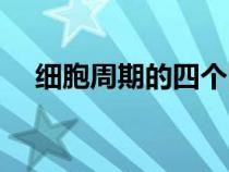 細(xì)胞周期的四個(gè)時(shí)期圖（細(xì)胞分裂周期）