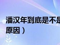 潘漢年到底是不是叛徒（潘漢年被拿掉的真實原因）