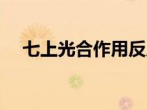 七上光合作用反應(yīng)式（光合作用反應(yīng)式）