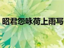 昭君怨詠荷上雨寫作手法（昭君怨詠荷上雨）