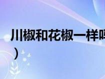 川椒和花椒一樣嗎能吃嗎（川椒和花椒一樣嗎）