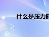 什么是壓力閥門（什么是壓力閥）