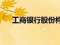 工商銀行股份構(gòu)成（12家股份制銀行）